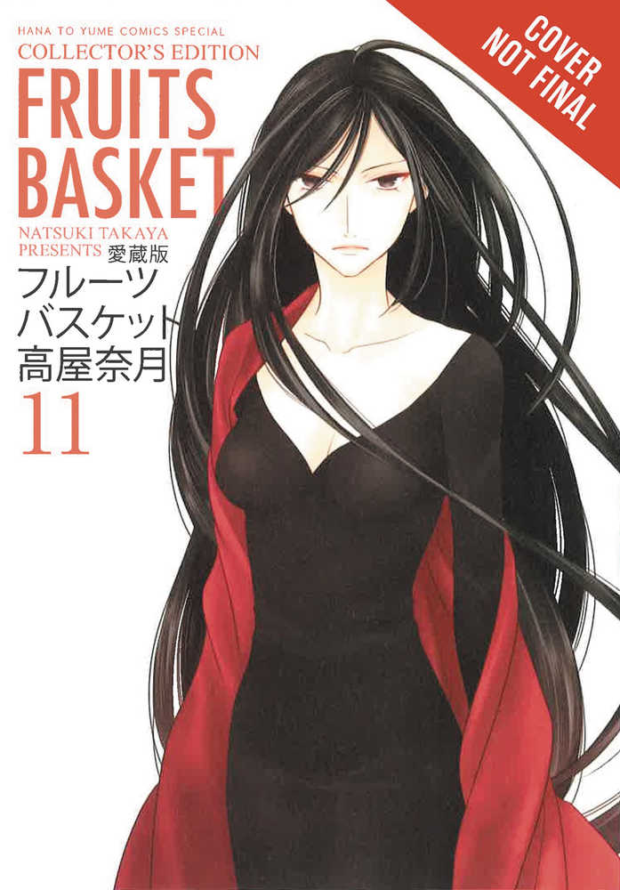 Fruits Basket Collectors Edition TPB Volume 11