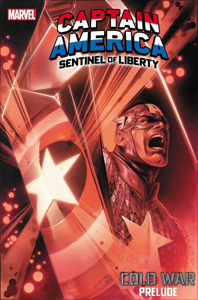 Captain America Sentinel Of Liberty 11