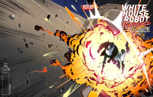 White House Robot Romance #3 Cover D Eliza Ivanova Variant