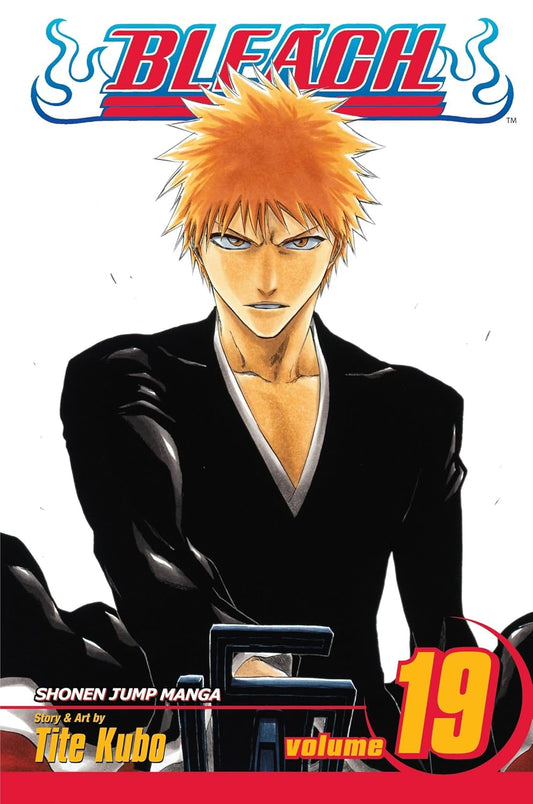 Bleach Volume 19