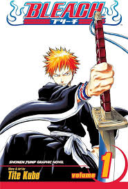 Bleach Vol. 1