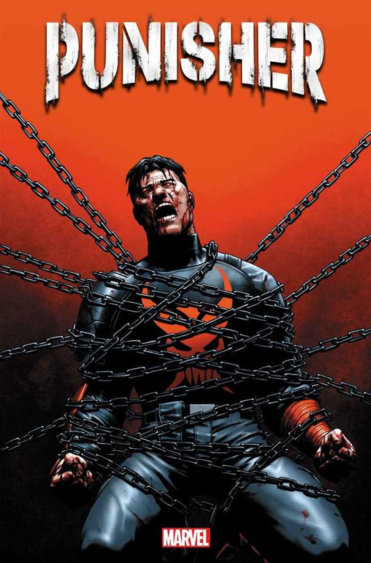 Punisher 12